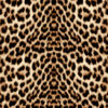 leopard print