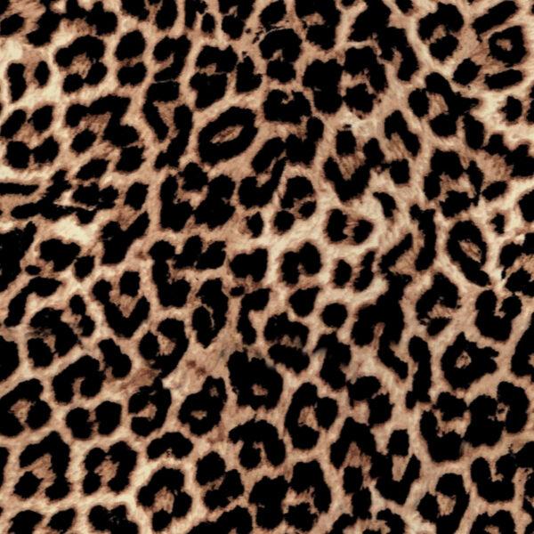 leopard print