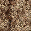 leopard print