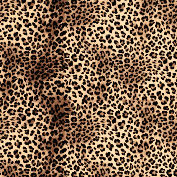 leopard print
