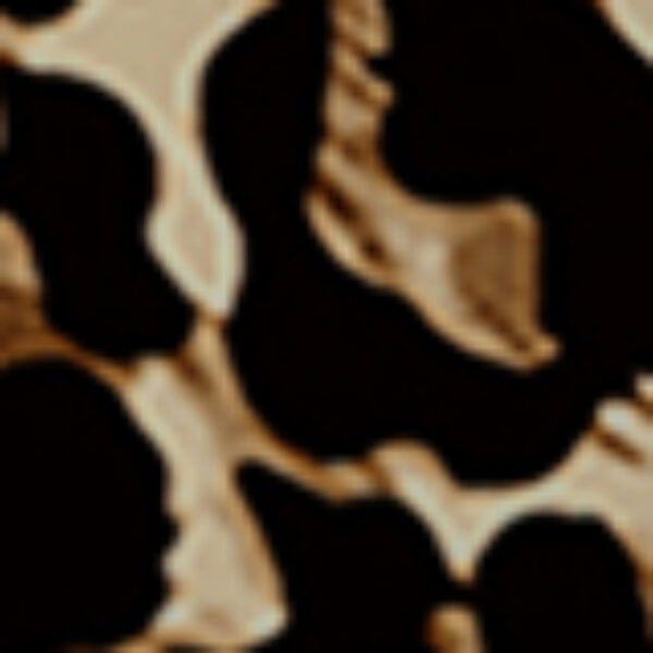 Leopard print version